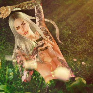 Мариус Мэйфер