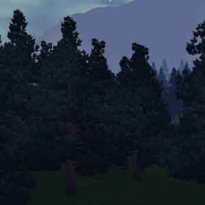 Элизабет Рейт