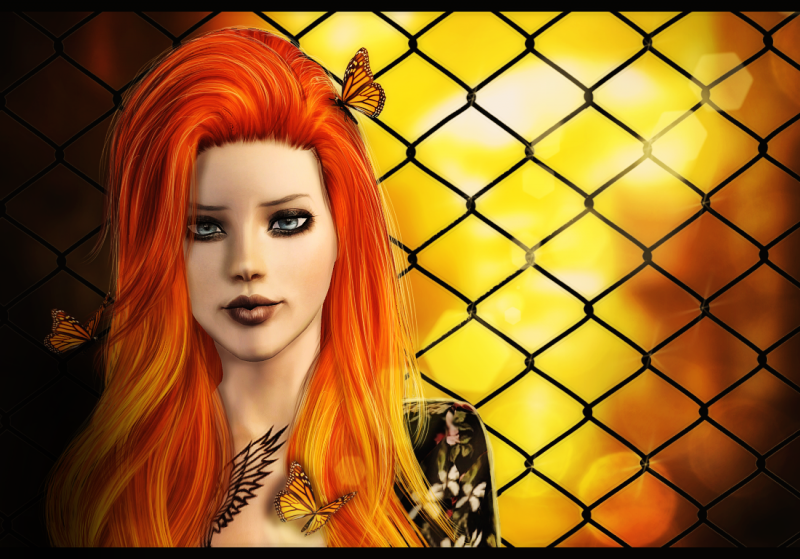 Терри Ларден